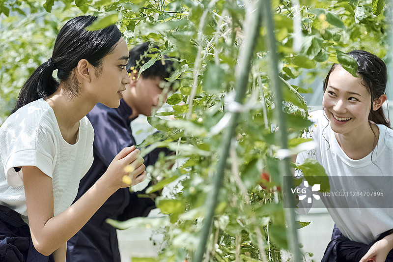 情侣在农舍耕作图片素材