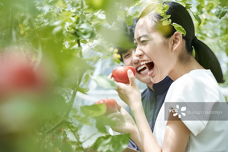 情侣在农舍耕作图片素材