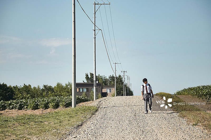 上学的高中生图片素材