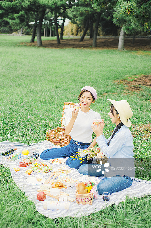 女性朋友们的野餐聚会图片素材
