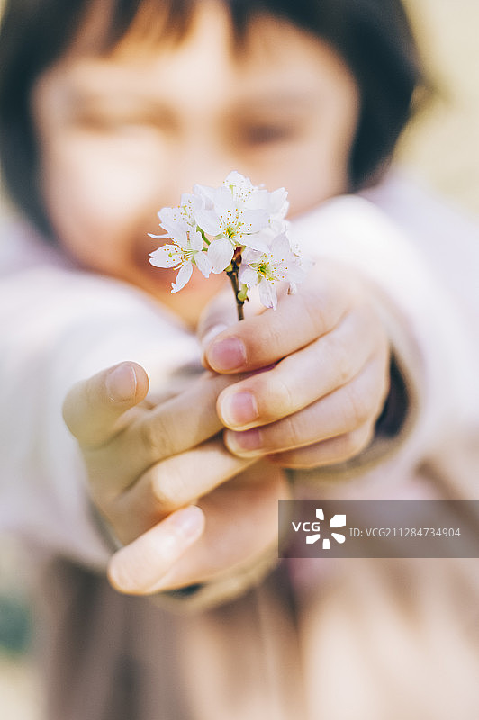樱桃春季少女图片素材