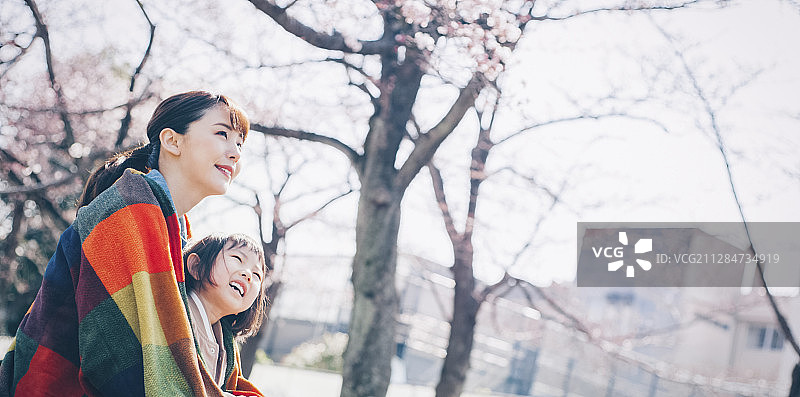 樱花春季亲子图片素材