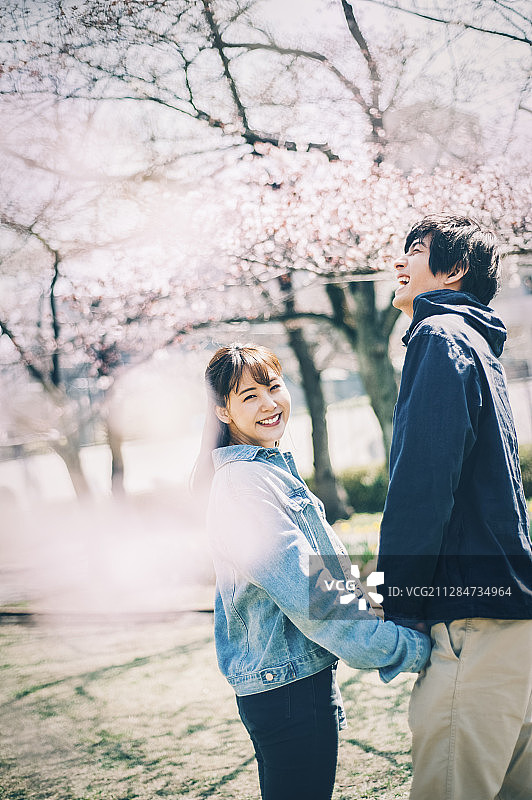 樱花情侣图片素材