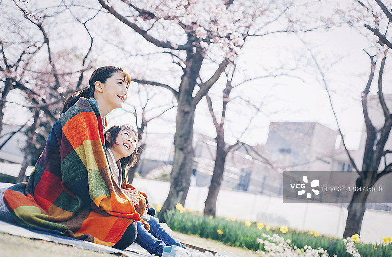 樱花春季亲子图片素材