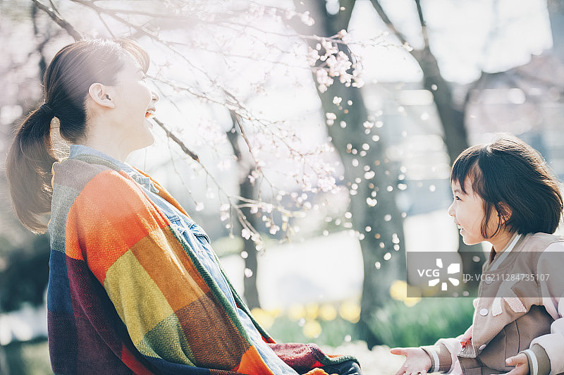 樱花烂漫图片素材