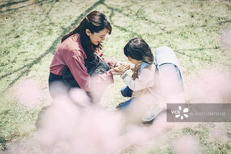 樱花春季亲子新生图片素材