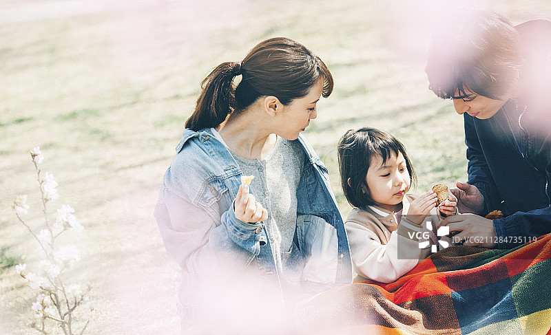 樱花春季亲子图片素材