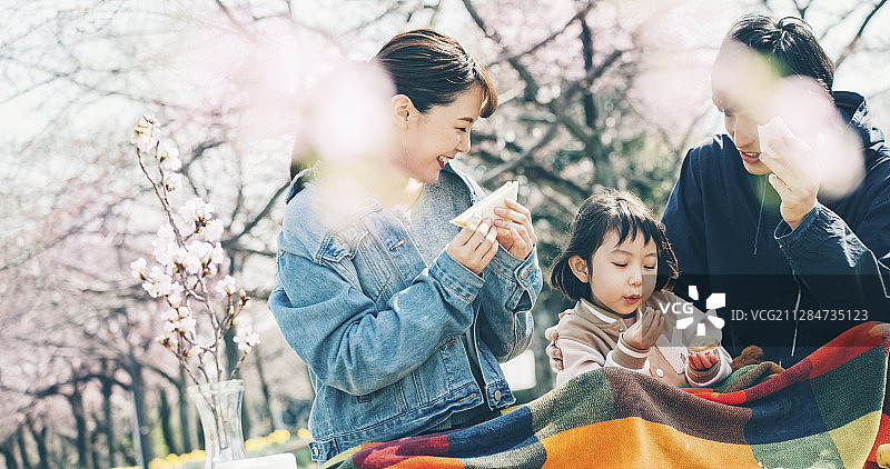 樱花春季亲子图片素材