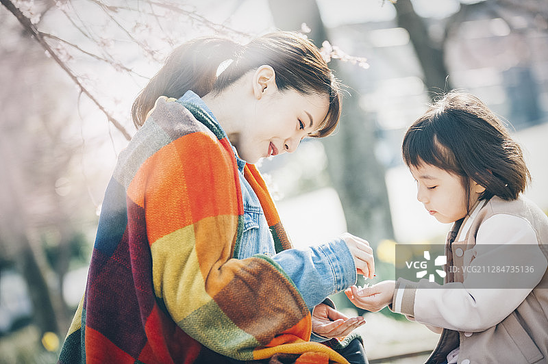 樱花烂漫图片素材