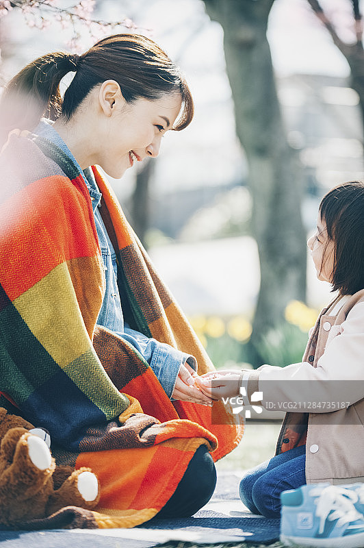 樱花烂漫图片素材