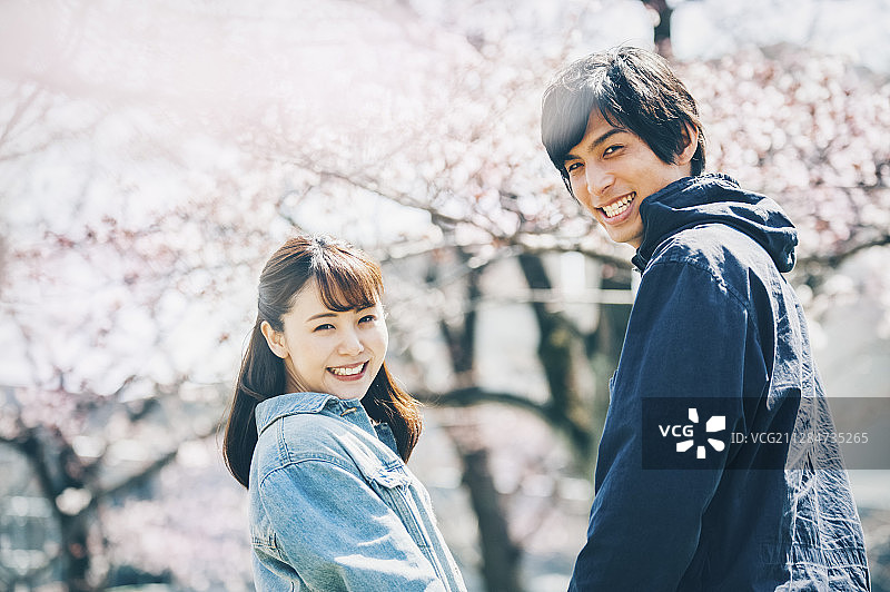 樱花情侣图片素材