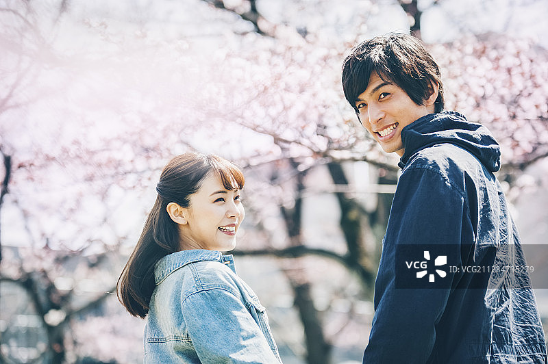 樱花情侣图片素材