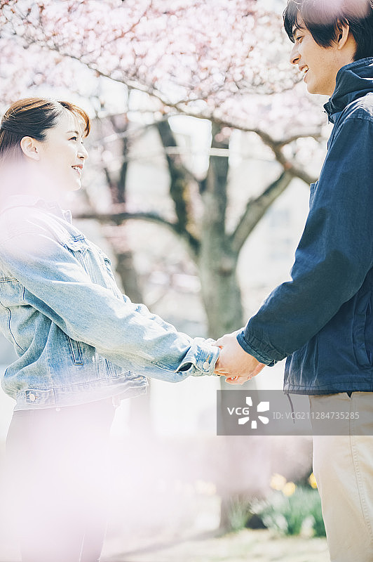 樱花情侣图片素材