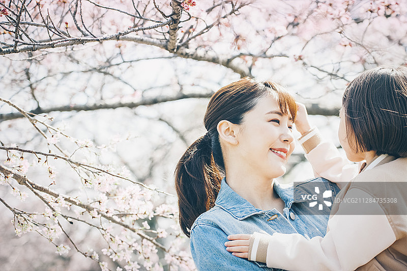 樱花烂漫图片素材