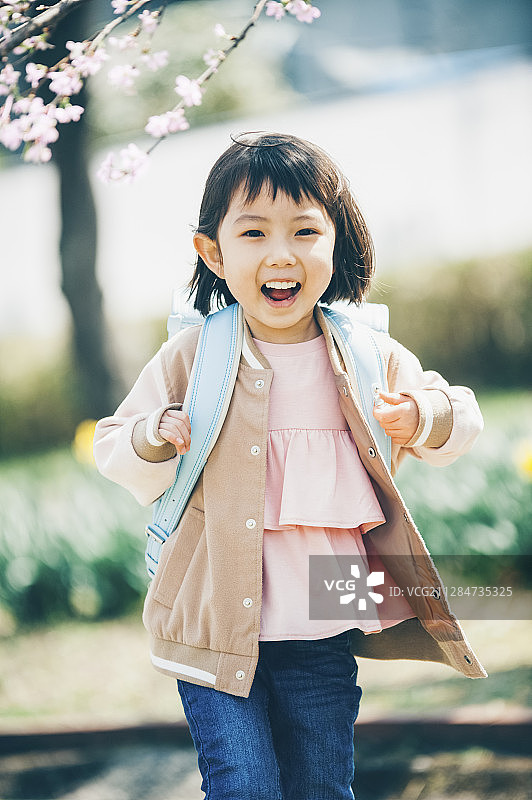 樱花烂漫图片素材