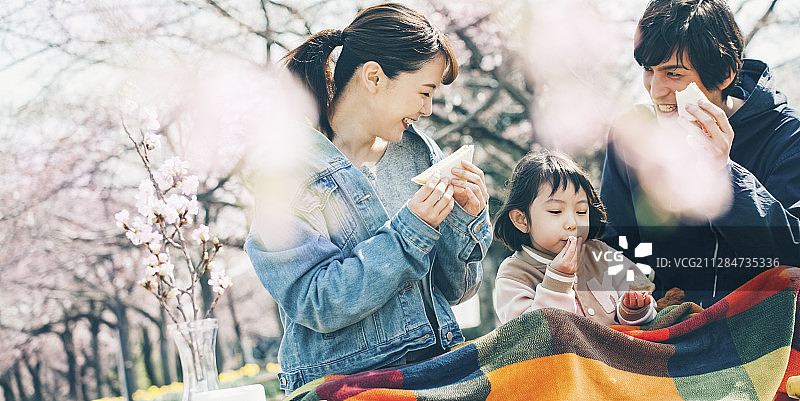 樱花春季亲子图片素材