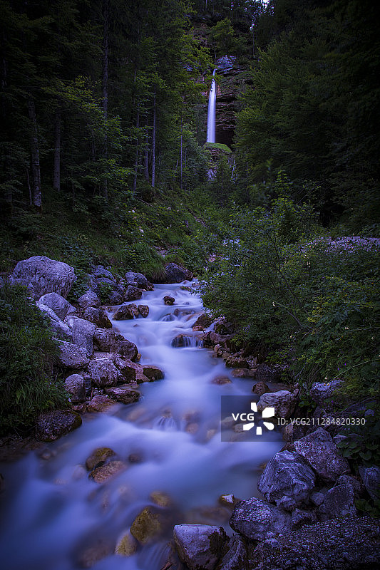 哥斯达黎加拉维尔京森林中的河流图片素材