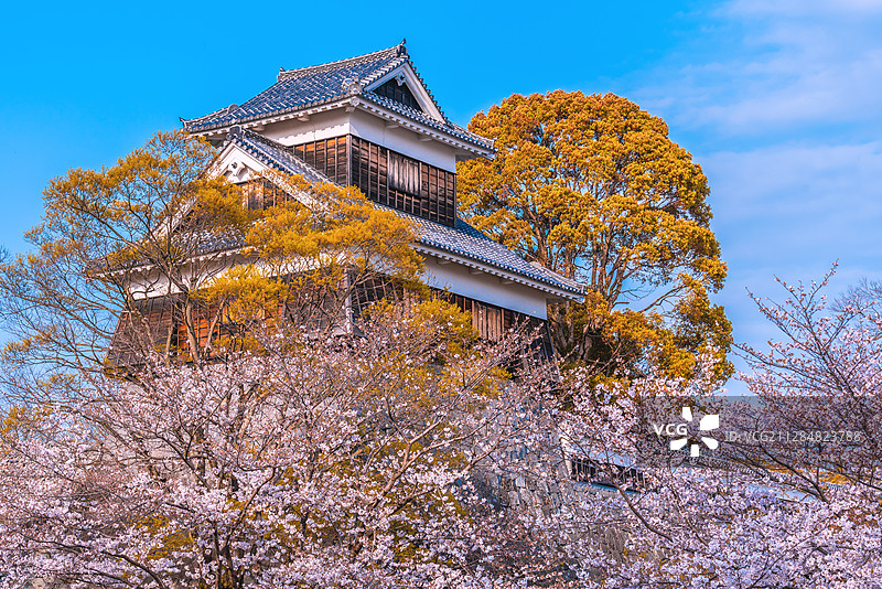 樱花之城图片素材