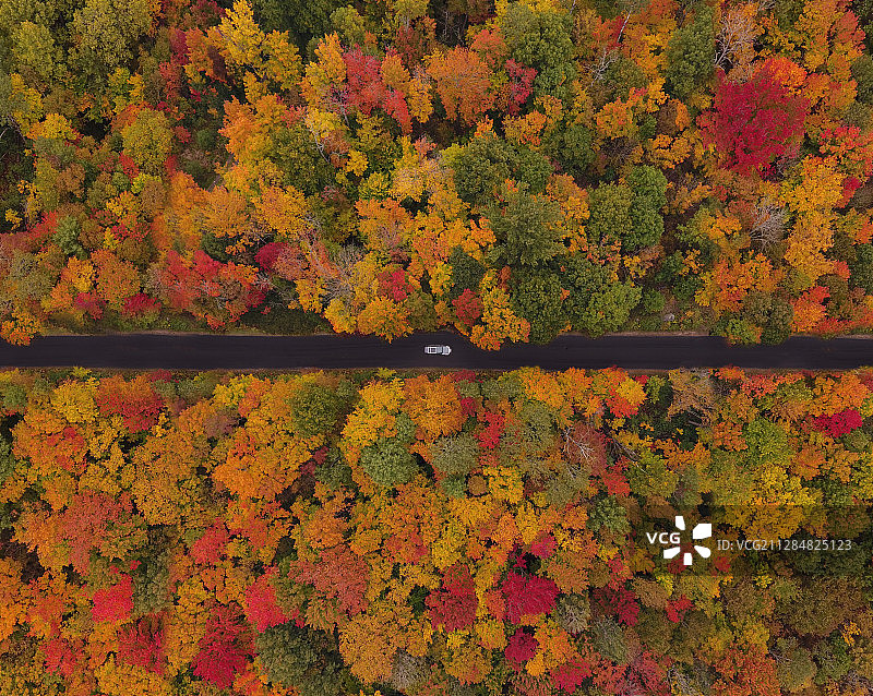 加拿大多伦多格雷文赫斯特的秋季森林鸟瞰图片素材