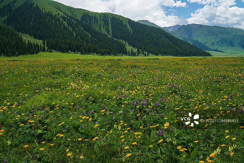 新疆独库公路沿途景色图片素材