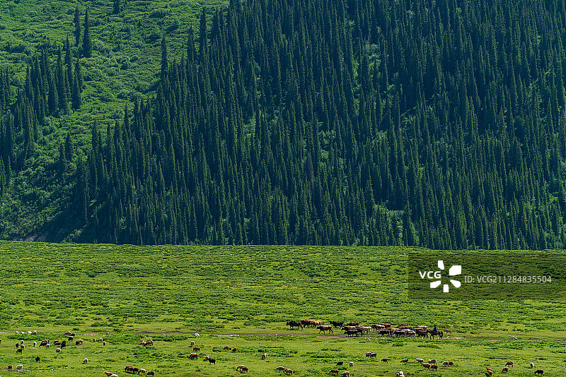 新疆独库公路沿途景色图片素材