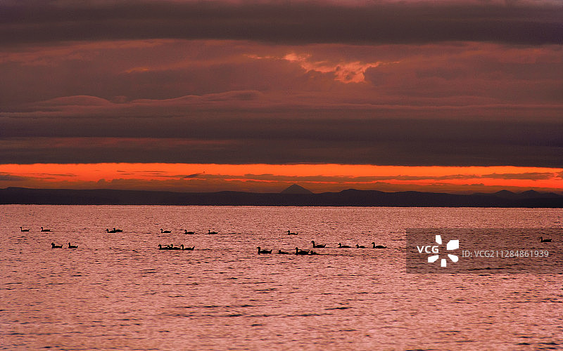 青海湖日出图片素材