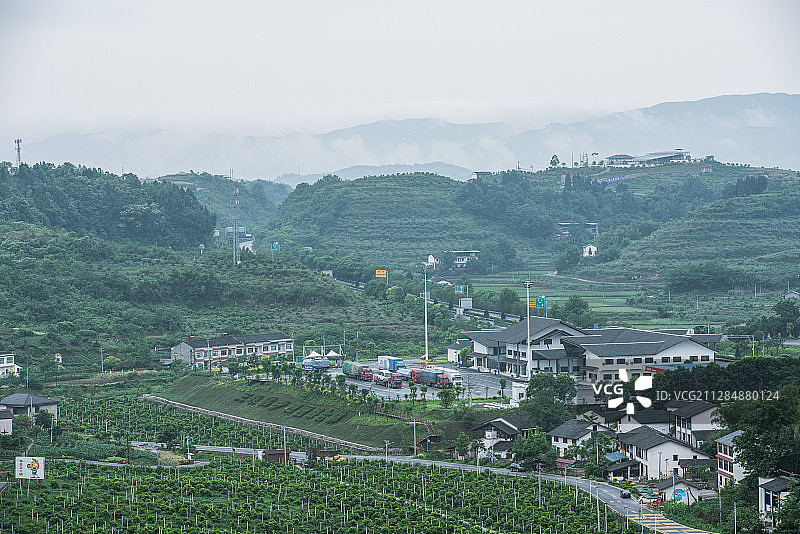 重庆忠县自然风光橘子园图片素材