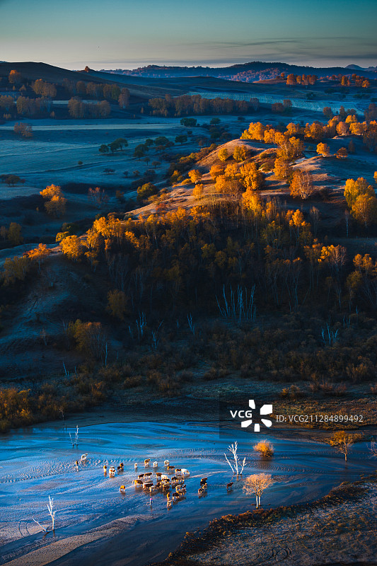 坝上透风沟日出晨牧图片素材