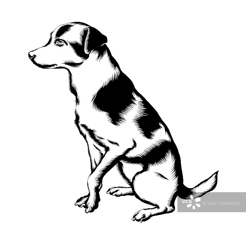 手绘狗图片素材