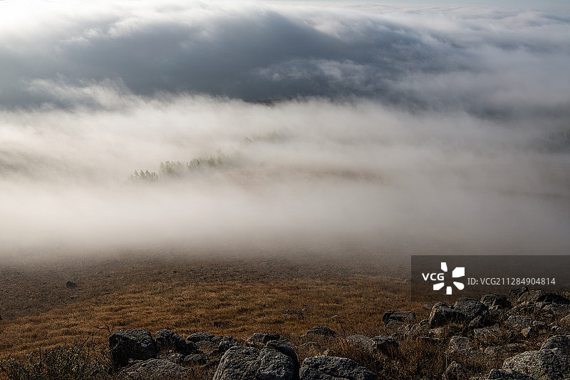 内蒙古锡林郭勒正蓝旗金莲花草原晨雾图片素材