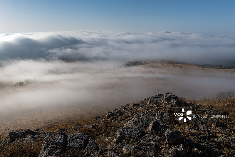 内蒙古锡林郭勒正蓝旗金莲花草原晨雾图片素材