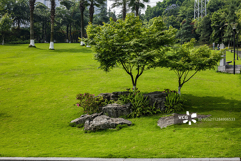 重庆市渝北区龙头寺公园园艺草坪图片素材