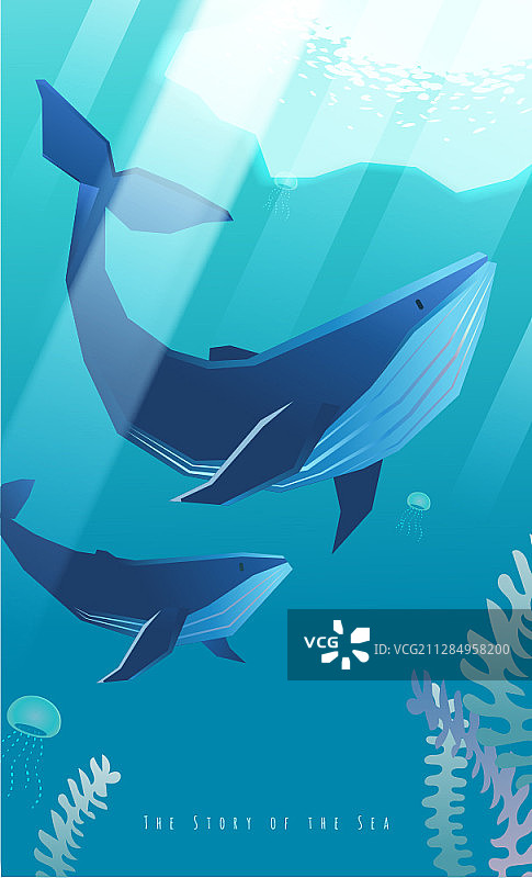 双鲸海底生物矢量插画图片素材