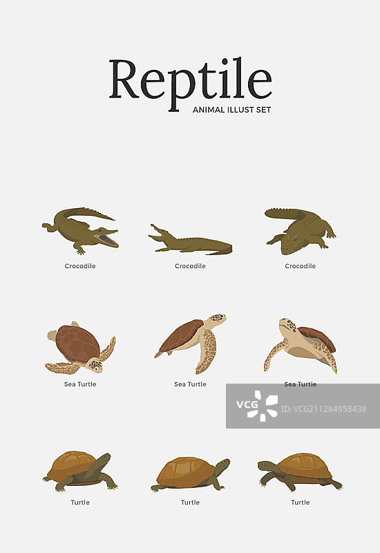 鳄鱼和乌龟的矢量插图图片素材
