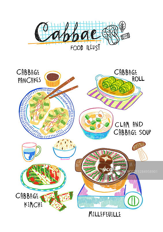 卷心菜美食矢量图图片素材