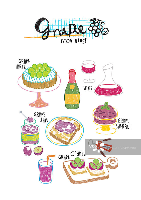 葡萄食物矢量插图图片素材