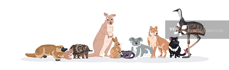 濒危的澳大利亚野生动物卡通图片素材