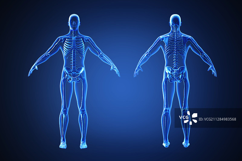 3D人体疼痛部位高亮显示效果图014图片素材