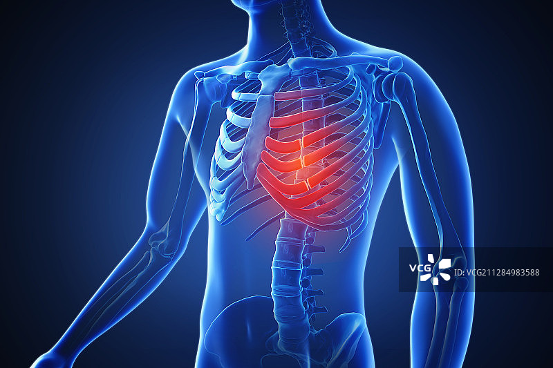 人体疼痛部位高亮的3D渲染009图片素材