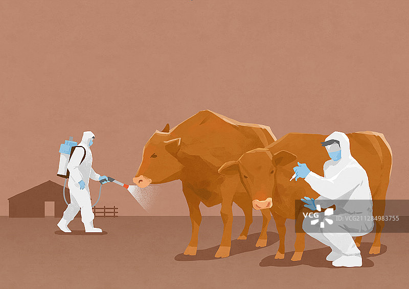 各种动物疾病和检疫活动概念插图009图片素材