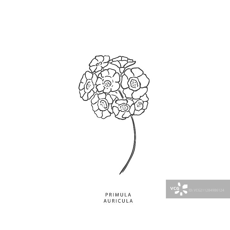 绿色植物设计元素植物标志图片素材