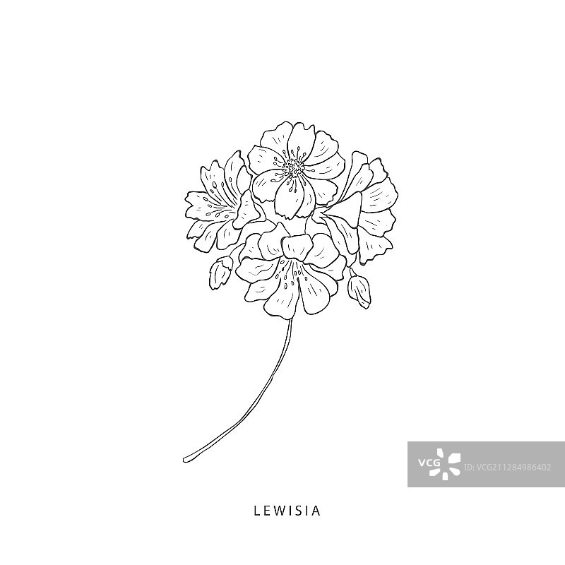 绿色植物设计元素植物标志图片素材