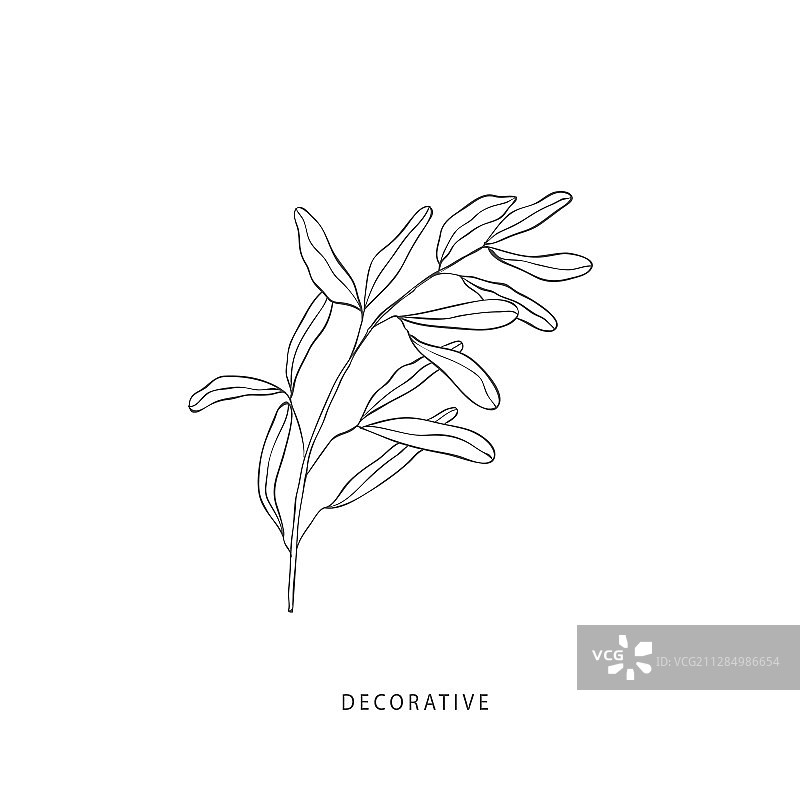 绿色植物设计元素植物标志图片素材