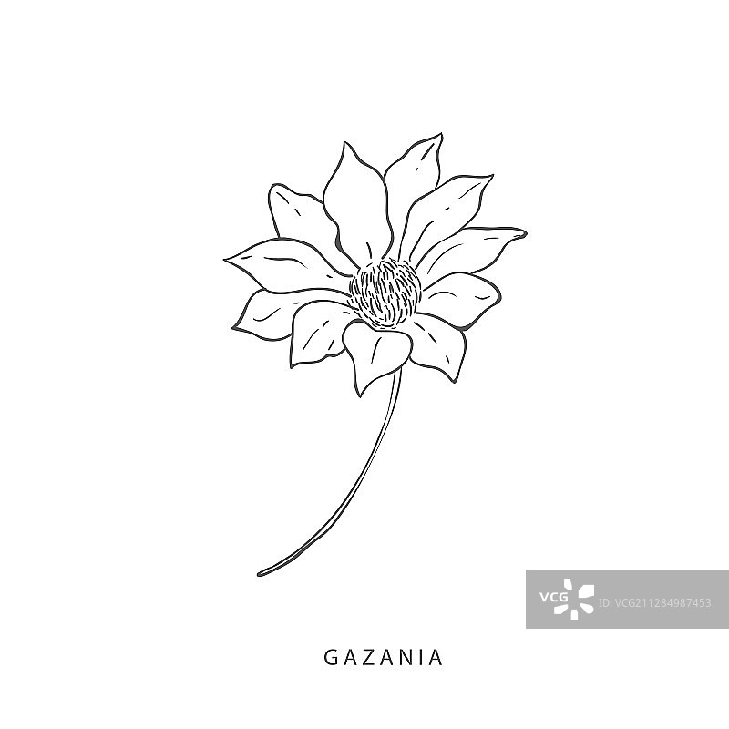 绿色植物设计元素植物标志图片素材