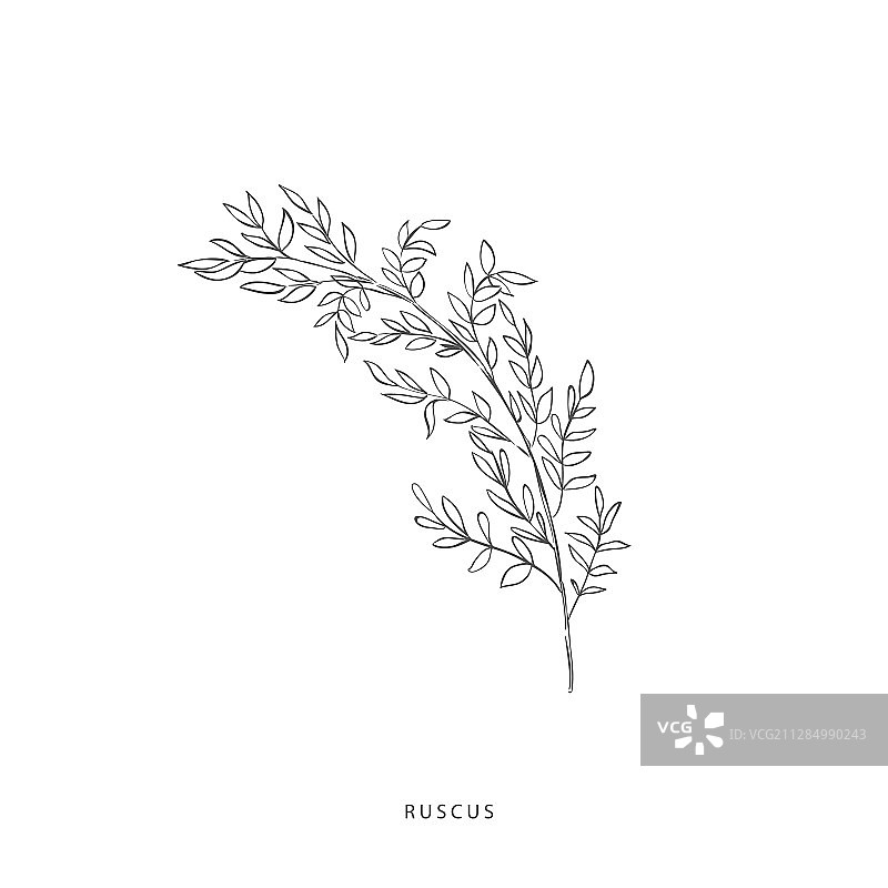 绿色植物设计元素植物标志图片素材