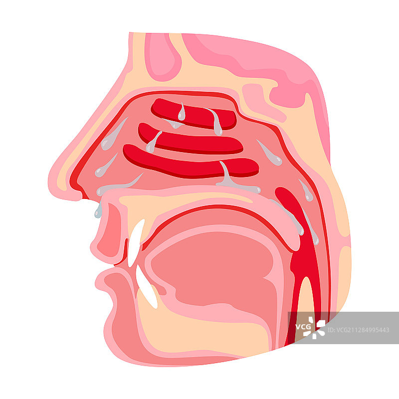 鼻咽卡通图标图片素材