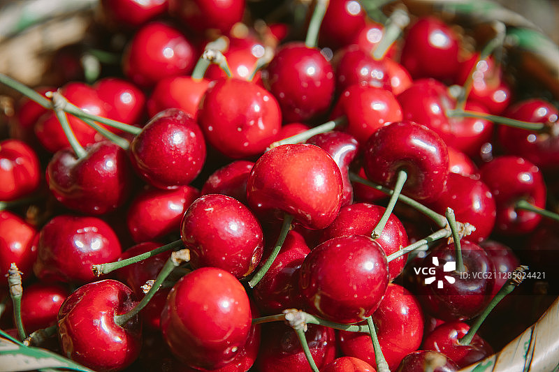 五月红色樱桃陕西白鹿原樱桃园樱桃树竹筐丰收采摘图片素材