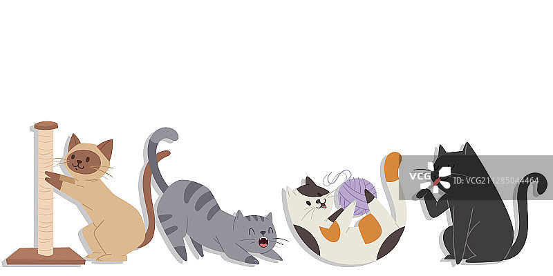 各种姿势的可爱猫咪图片素材