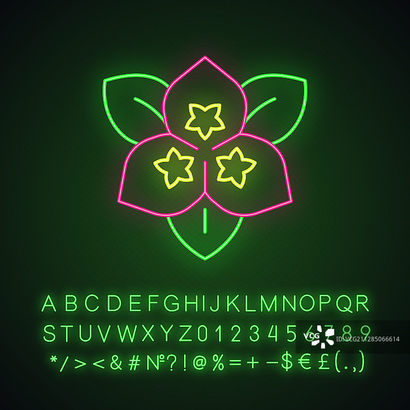 宝巾花霓虹灯图标图片素材