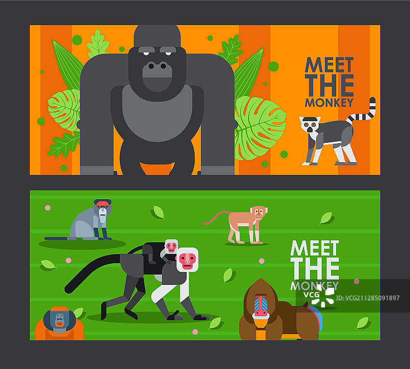 扁平风格的猿猴横幅图片素材